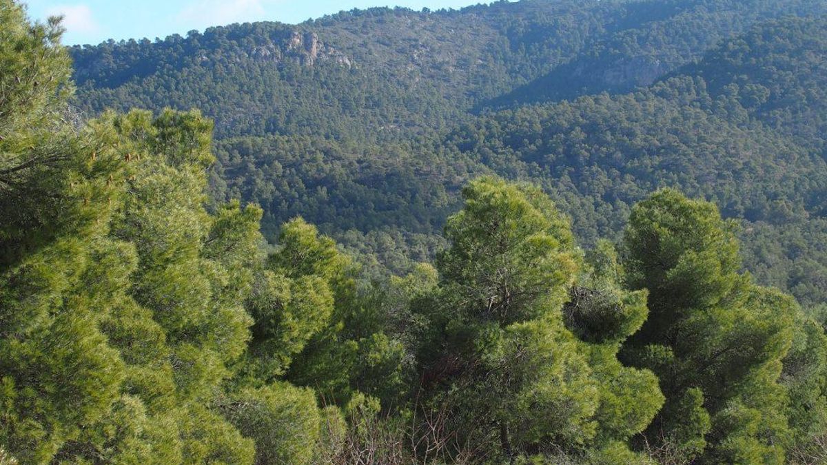 La Serra Salines a Villena.