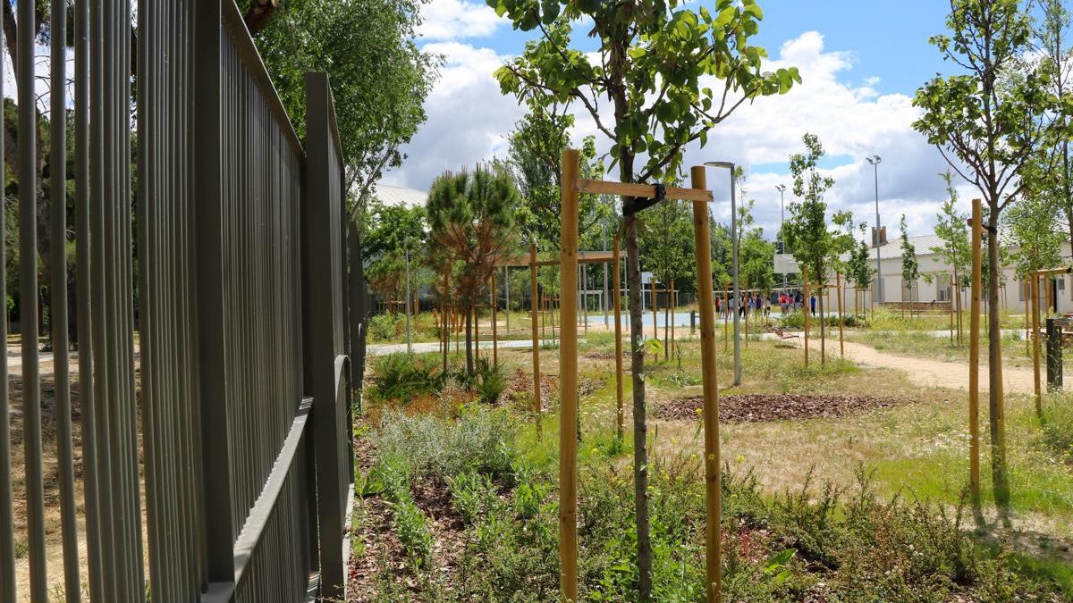 El colegio tiró el muro de hormigón que lo separaba de la Dehesa Boyal por una valla perimetral que ahora tiene un efecto refrigerador.