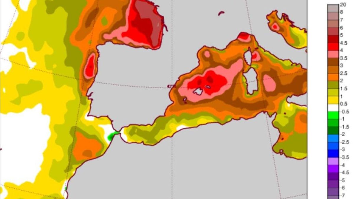 El cambio climático pone al mar frío español a 'hervir'
