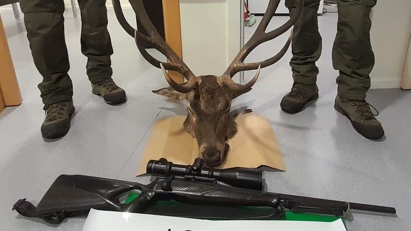 Identificados varios furtivos en León y denunciados por infracciones graves durante la berrea