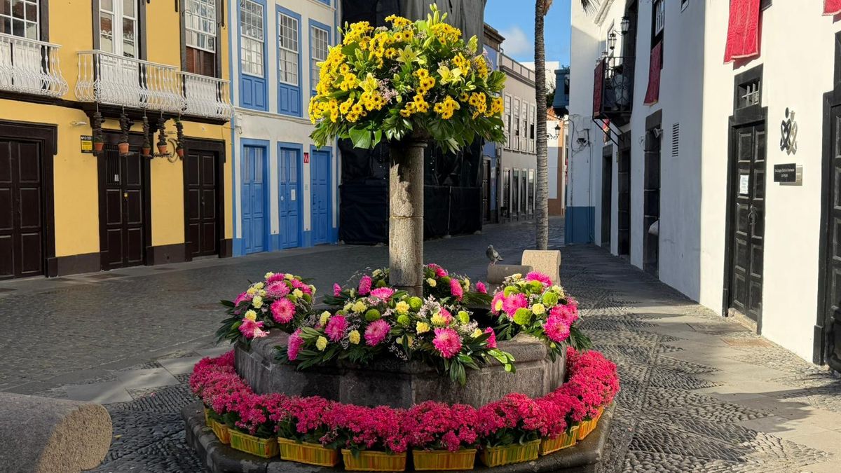 Santa Cruz de La Palma florece en mayo con Civitatem Decorare: un homenaje artístico a su historia y tradición
