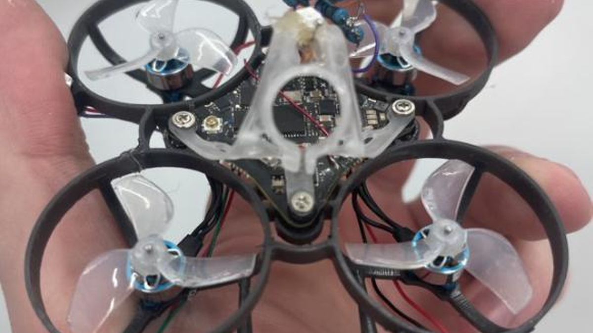 La carrera contra los mosquitos suma un nuevo rival: un dron japonés que los localiza y los elimina en el aire