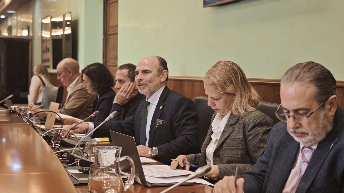 Reunión del Consejo de Gobierno de la Universidad de Oviedo. En el centro, el rector Ignacio Villaverde.