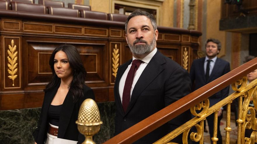 La diputada de VOX Pepa Millán y el líder de VOX, Santiago Abascal, llega a una sesión de control al Gobierno, en el Congreso de los Diputados, a 28 de febrero de 2024, en Madrid (España).