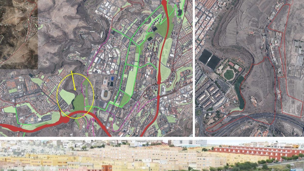 Las Palmas creará un área de biodiversidad autóctona de 170.000 metros en La Mayordomía