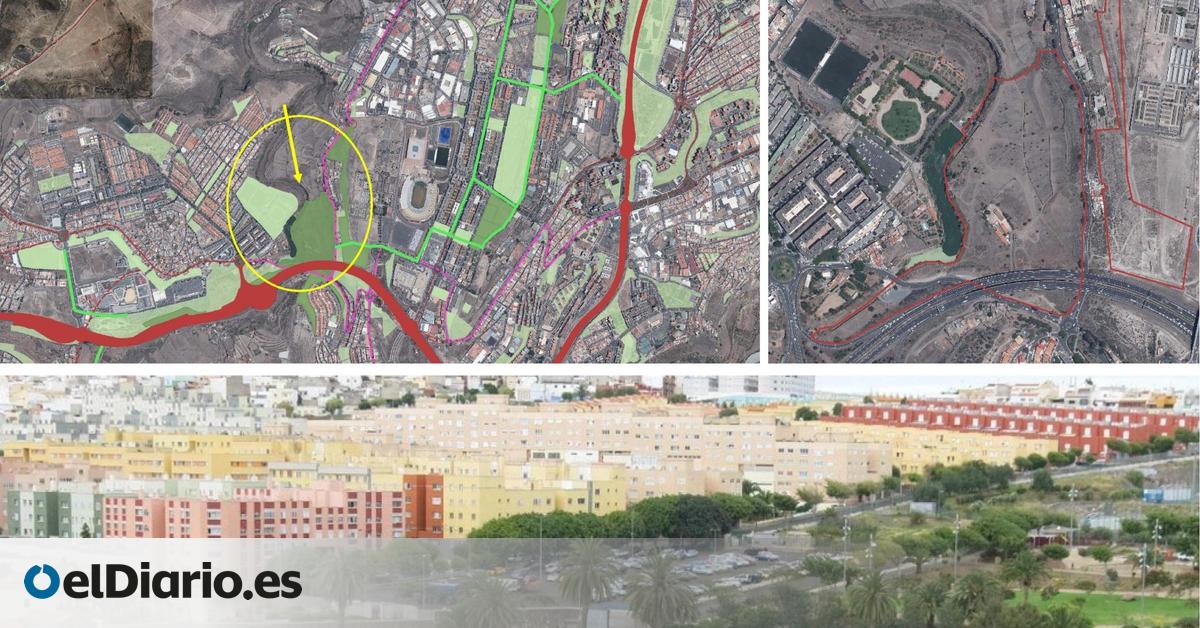 Las Palmas creará un área de biodiversidad autóctona de 170.000 metros en La Mayordomía