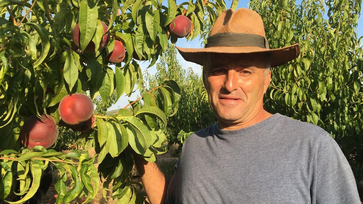 Los Frutos del Tiempo