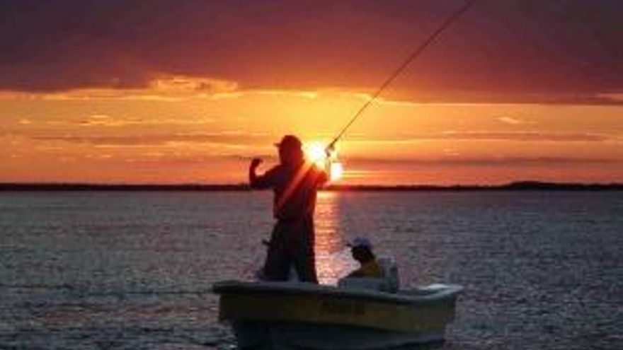 Crisis ambiental: los peces migratorios pueden desaparecer