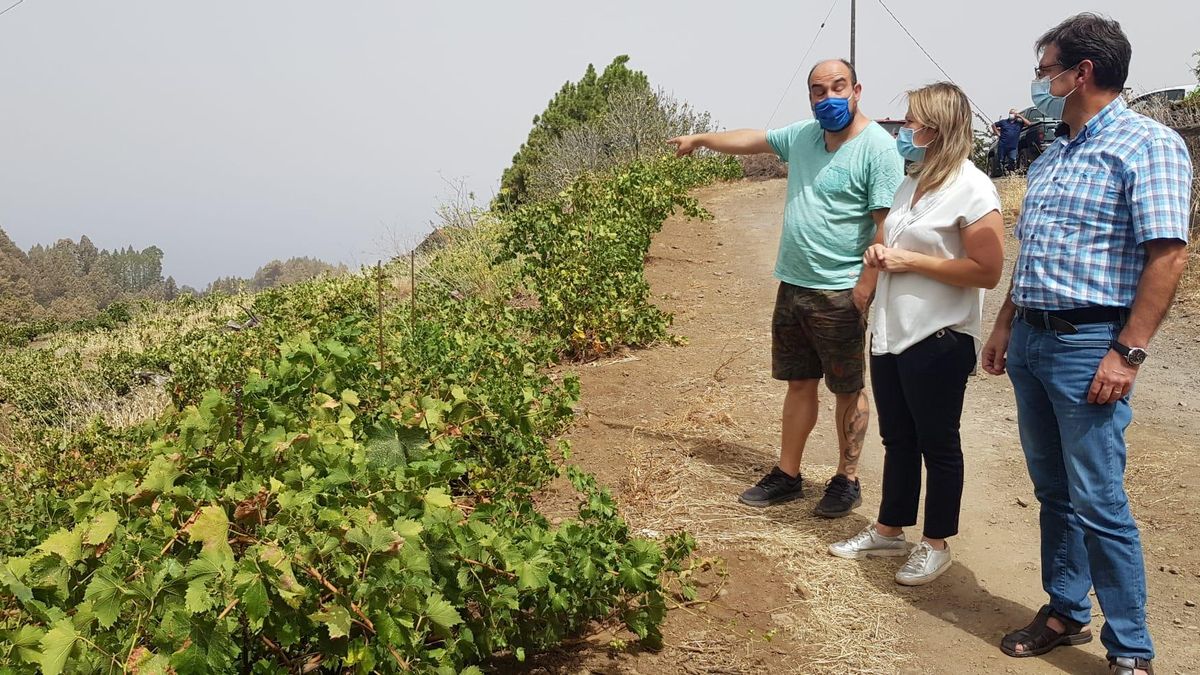 Visita de las autoridades a la zona afectada.