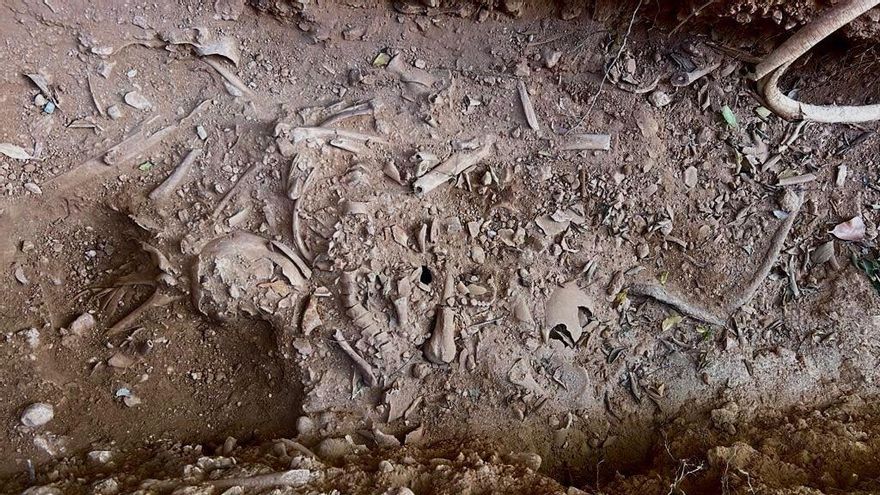 El misterioso origen de los restos humanos hallados en el psiquiátrico de Palma