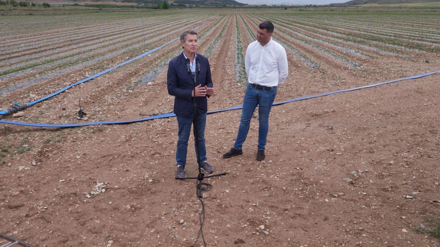 El presidente del PP, Alberto Núñez Feijóo, interviene junto al presidente del PPN, Javier García, tras visitar la empresa FHF Frutas y Hortalizas, a 3 de junio de 2025, en Fontellas, Navarra (España). Feijóo viaja a Navarra para visitar una empresa del s