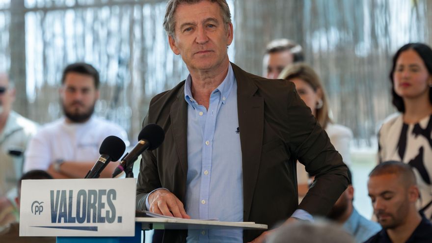 El presidente del Partido Popular, Alberto Núñez Feijóo. EFE/ Giner