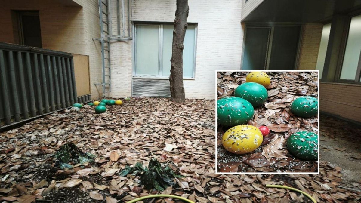 Excrementos de aves y restos de comida: denuncian la suciedad en una escuela infantil del municipio más rico de Aragón