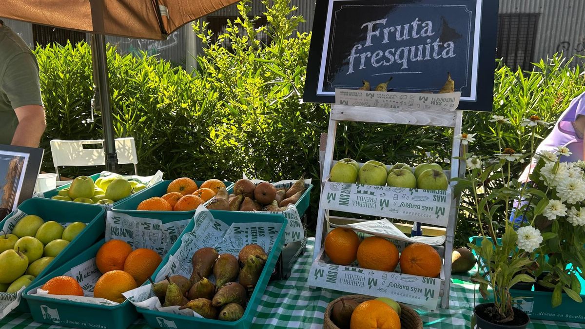 Uno de los puestos del oasis climático, con fruta fresca gratuita