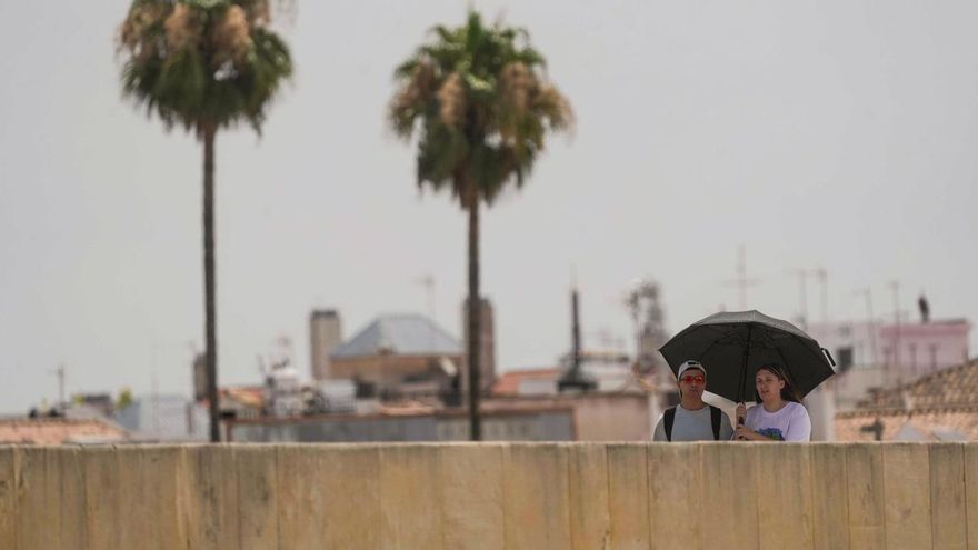 España se adentra en lo peor de la ola de calor: Peligro para la salud, polvo en suspensión y riesgo máximo de incendio