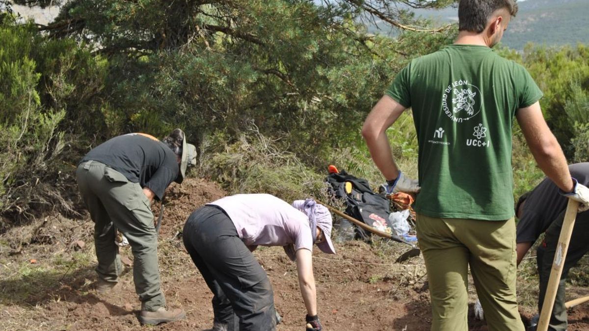 Descubren en León un campamento romano que podría explicar la conquista de un poblado hace 2.000 años