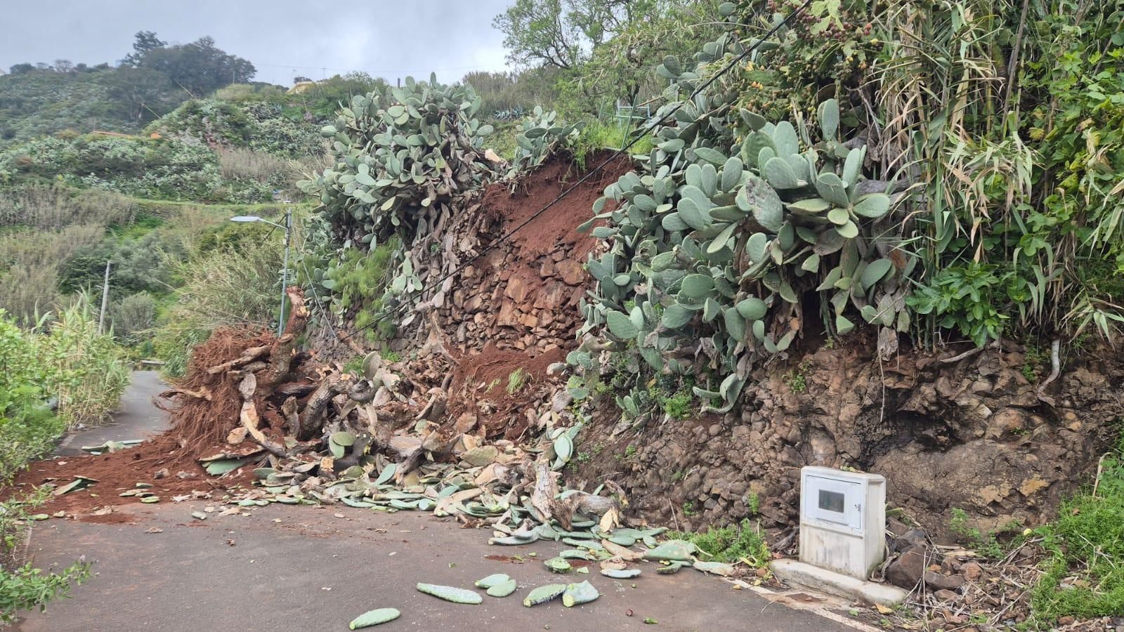 Un talud sobre el Camino Real, a la altura del barrio.