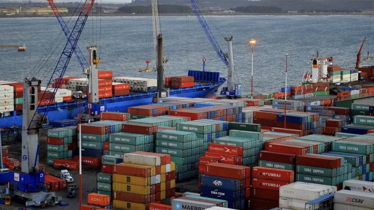 El deterioro del Senasa ya impacta en exportaciones: "La reputación de la 'marca argentina' se está poniendo"