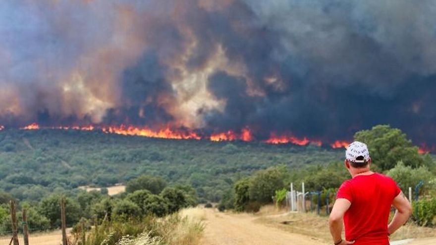 Un vecino observa las llamas del incendio de Losacio en Zamora. // J.L. Leal / ICAL