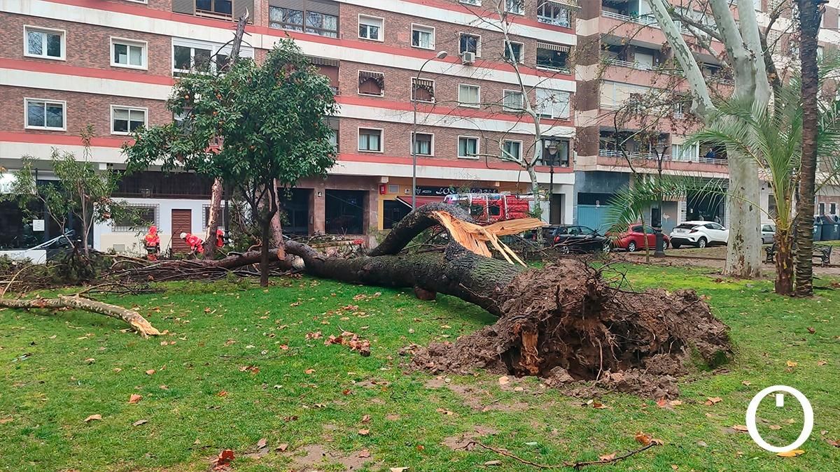 Los efectos del viento y la lluvia en Córdoba