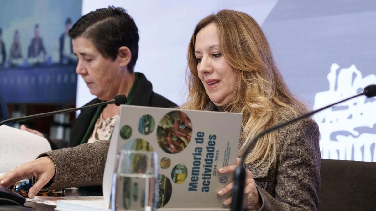 El Cabildo de Tenerife gasta 360.000 euros en tres meses para publicitar la tasa del Teide o su gestión ambiental