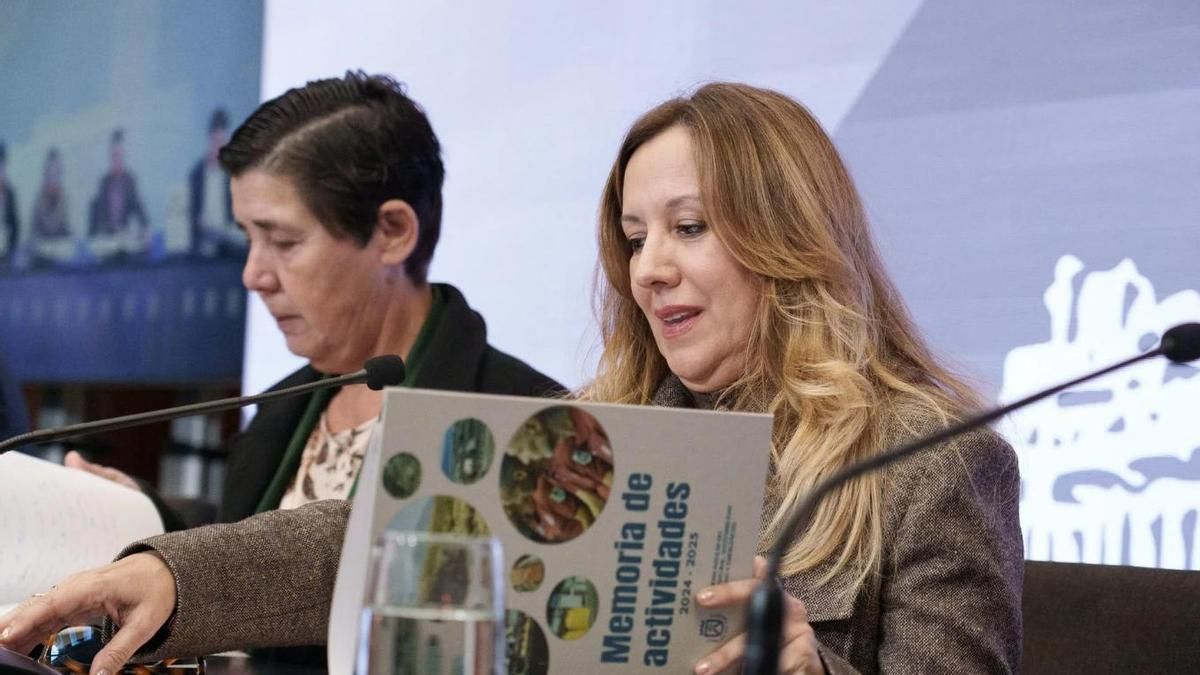 El Cabildo de Tenerife se empeña en el Circuito del Motor y anuncia una nueva declaración de impacto ambiental