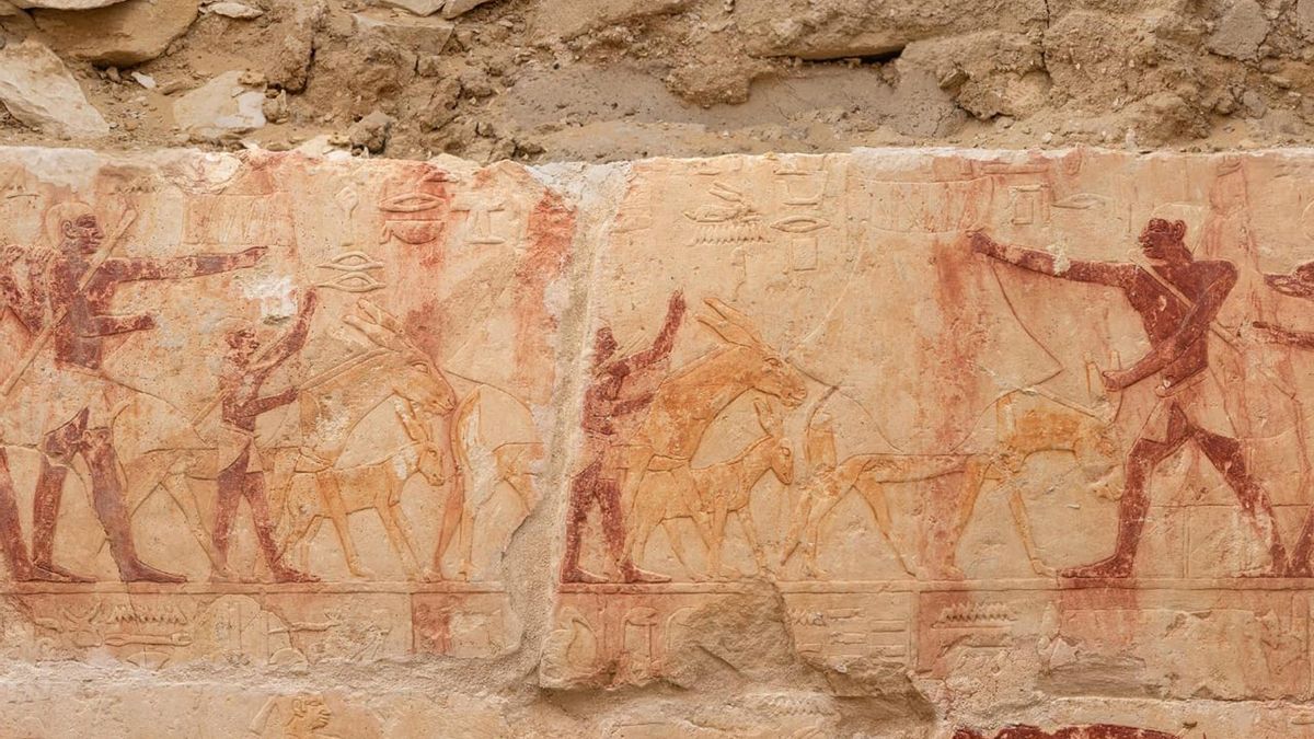 Una de las fotos de la excavación.
