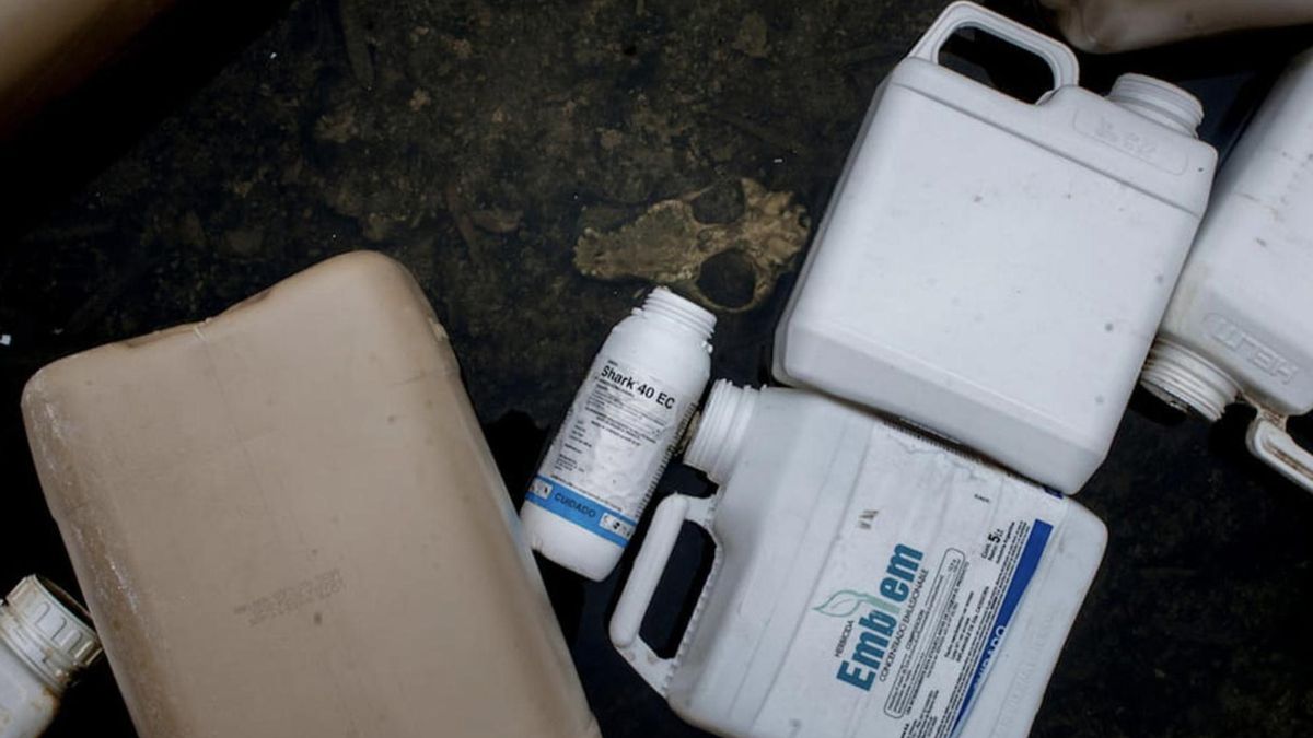 El agronegocio lo hizo: epidemia de abortos espontáneos e hipotiroidismo en ciudades con uso de agrotóxicos