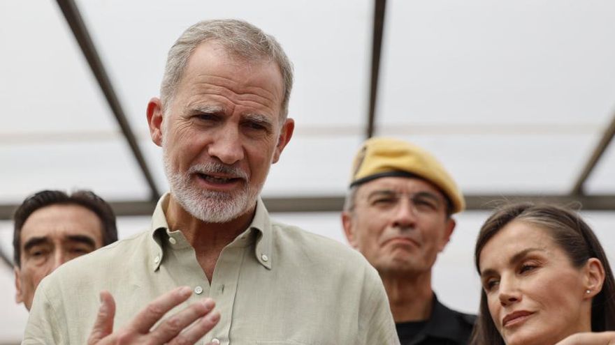 El rey, durante su visita a la zona del incendio de Ávila y Madrid.