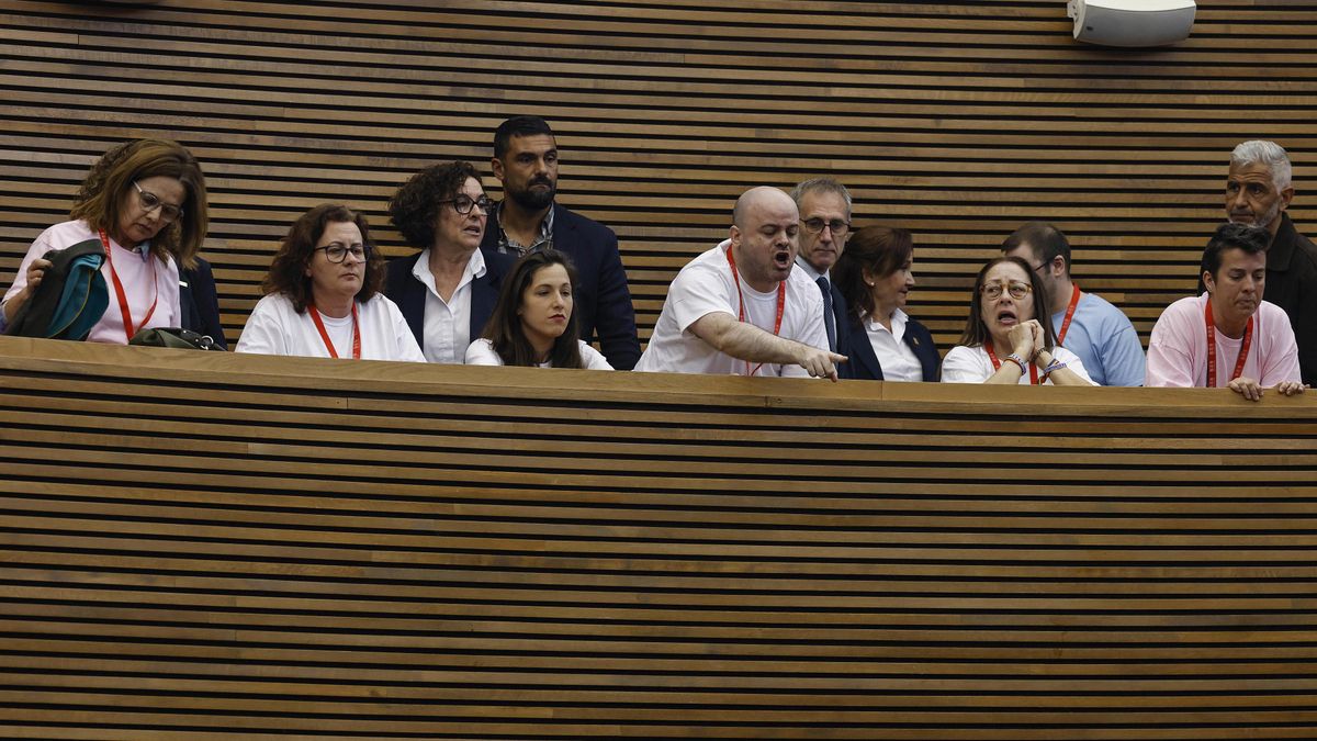 Asistentes de colectivos LGTBI+ al pleno de Les Corts