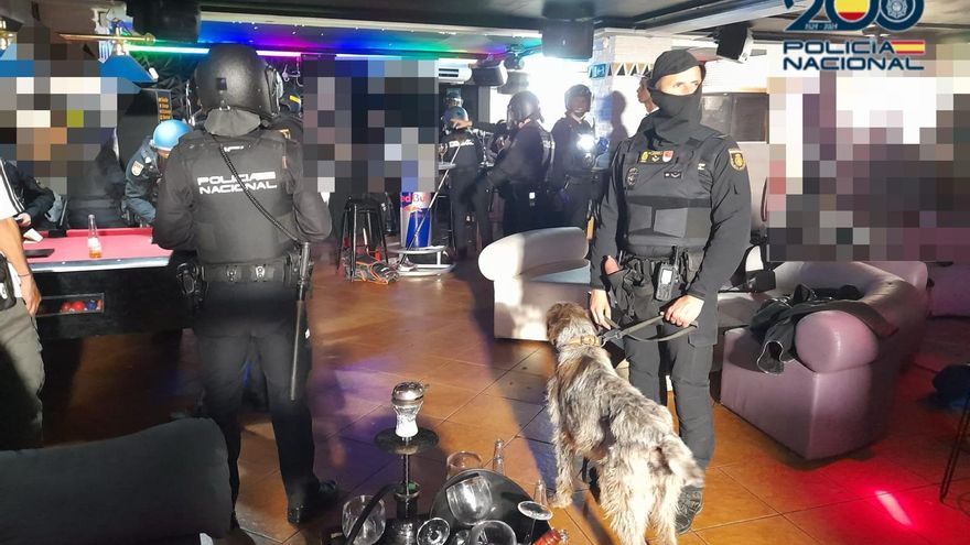 Un dogo de la Policía Nacional 'caza' en una discoteca de Valladolid a un hombre que llevaba cocaína rosa