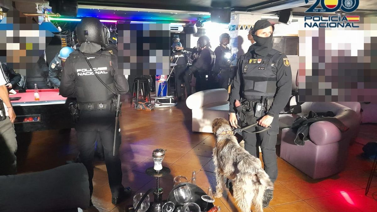 Un dogo de la Policía Nacional 'caza' en una discoteca de Valladolid a un hombre que llevaba cocaína rosa