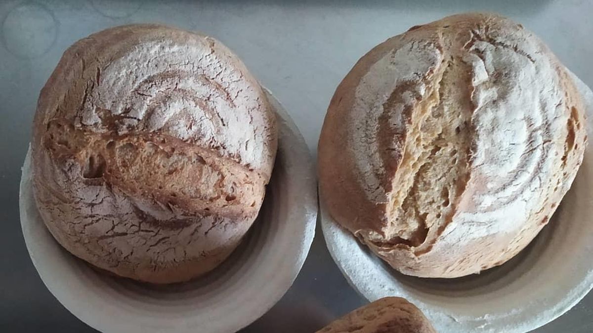 Unos restos arqueológicos carbonizados en Jordania sacan a la luz el pan más antiguo del mundo -tiene 14.000 años-