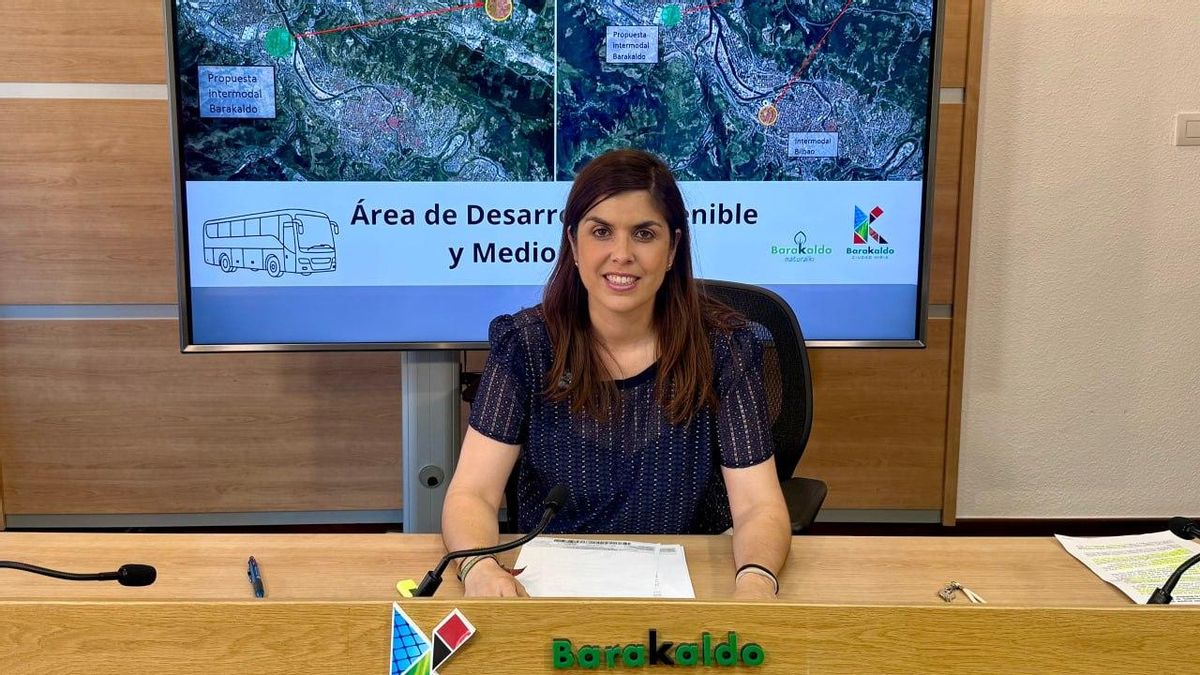 Barakaldo propone conectar Ansio con el aeropuerto y el Parque Tecnológico de Zamudio con autobuses de Bizkaibus