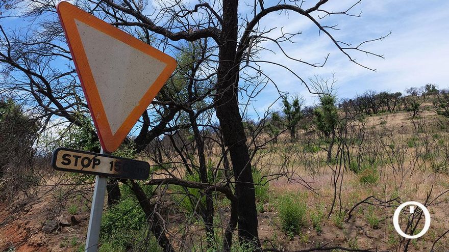 Identifican a los presuntos culpables del incendio que quemó más de 600 hectáreas en el Calatraveño