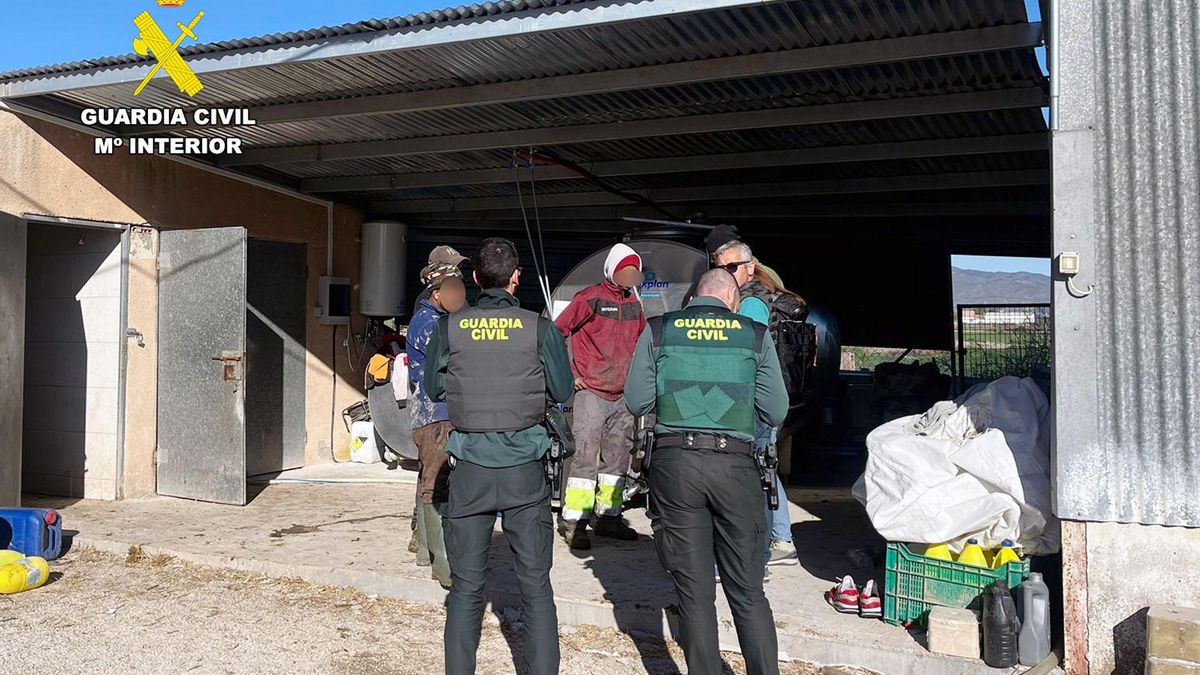 Detenidos un empresario y un encargado por la contratación irregular de ocho migrantes en granjas de Lorca y Puerto Lumbreras