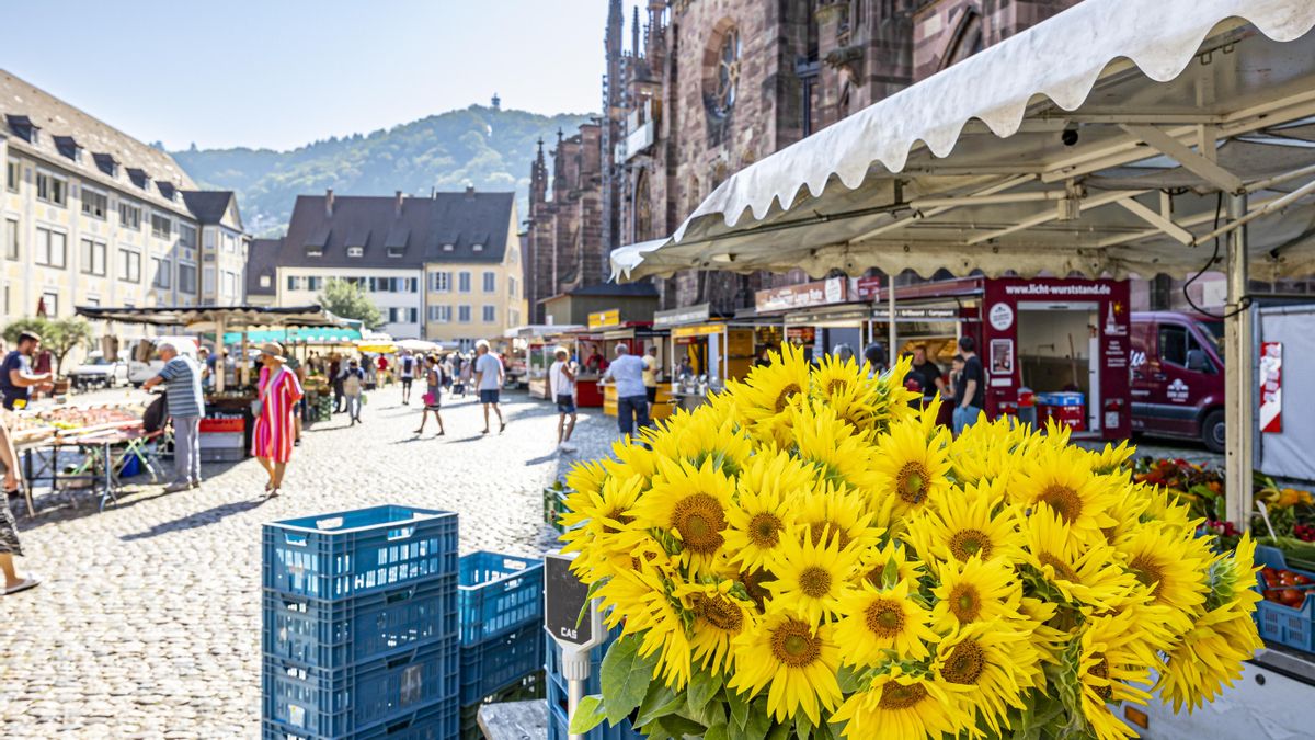 Freiburger FWTM, Freiburg Motive