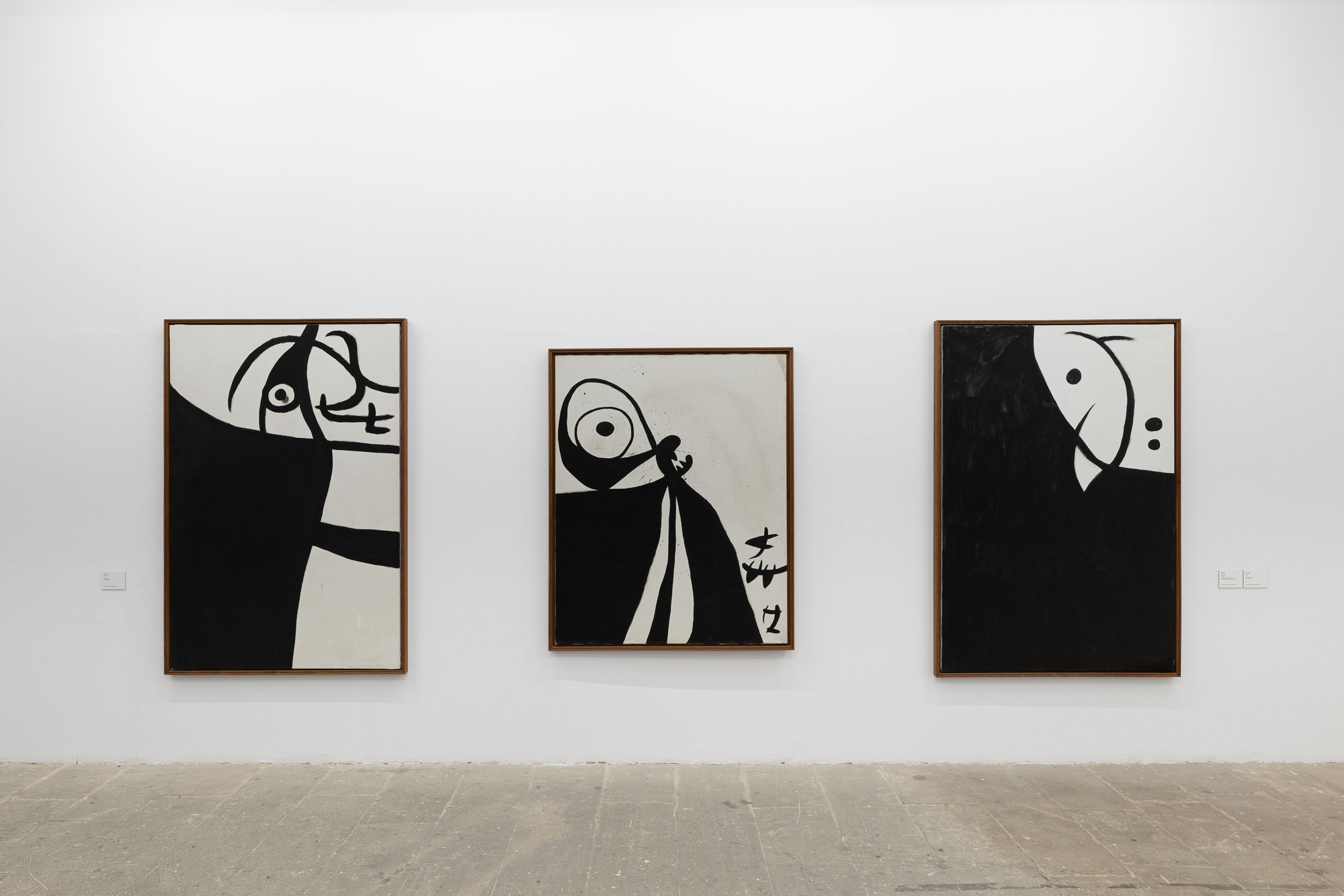 Varias de las obras expuestas en el Casal Solleric