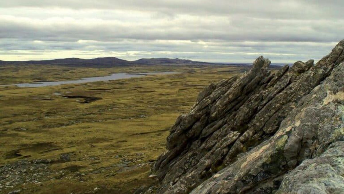 Una vista de las Islas Malvinas. Foto: cortesía Gobierno de Argentina