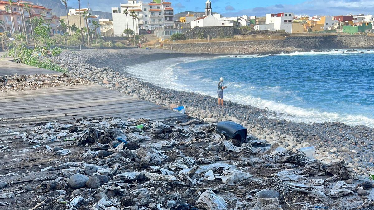Loro Parque exige una respuesta "urgente" ante el "cierre masivo de playas" en Canarias