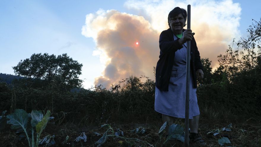 El viento aviva el incendio de Porto (Zamora) que "corre muchísimo" en León