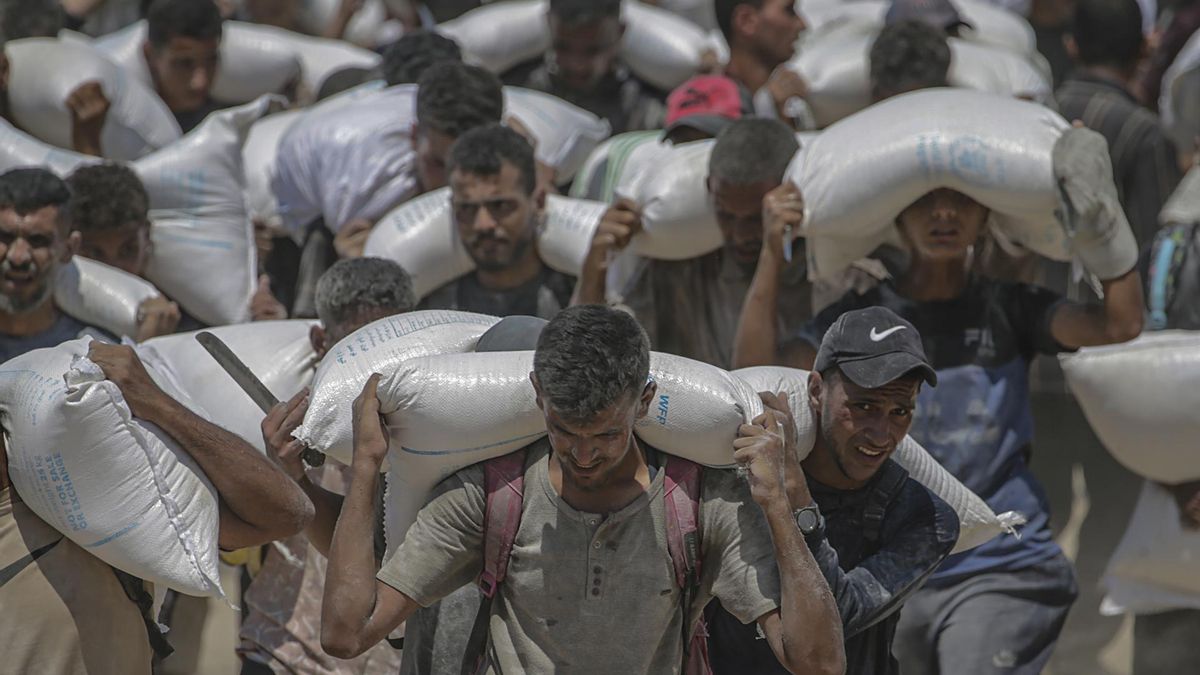 Hombres palestinos cargan con sacos de harina que han podido conseguir en Zikim, en el norte de Gaza, el 27 de julio de 2025.