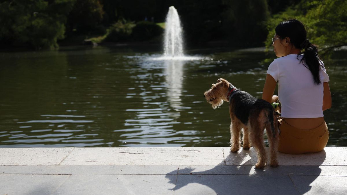 El calor no da tregua y deja 40 grados en Madrid este miércoles con aviso amarillo incluido
