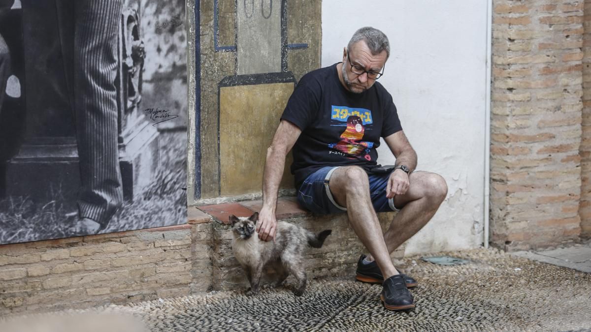 Un turista acaricia a un gato de una colonia felina de Córdoba.