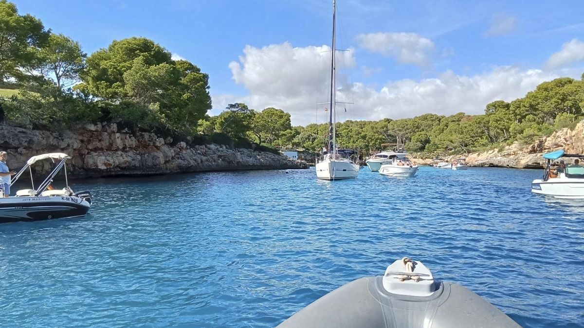 Servicio de vigilancia de la Posidonia en Balears.