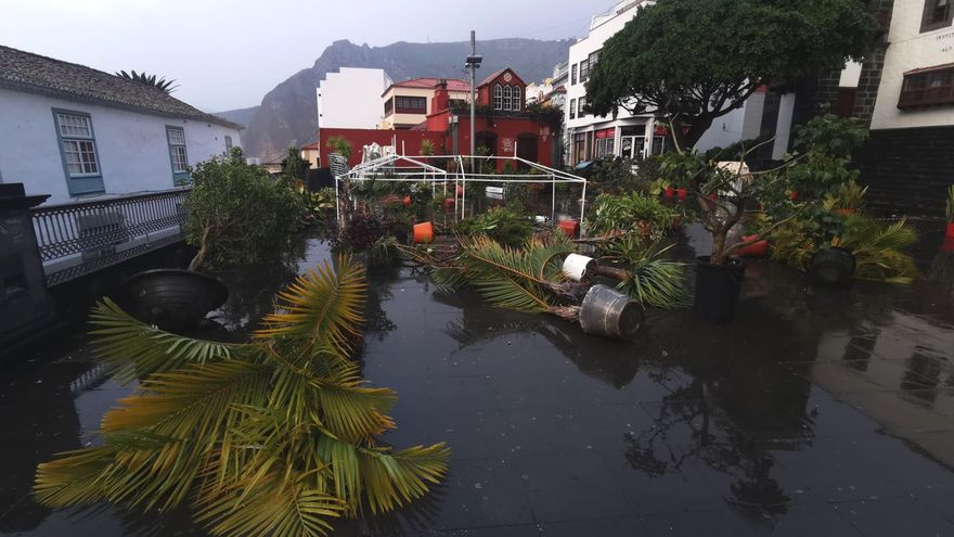Mecetas tumbada por el viento, este lunes, en la Plaza de Santo Domingo, en Santa Cruz de La Palma-