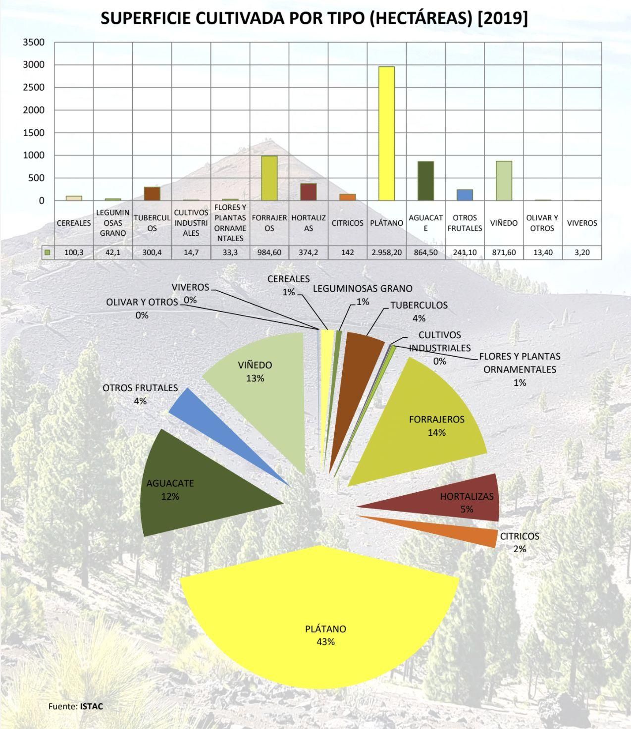 Superficie cultivada.