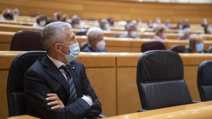 El ministro de Interior, Fernando Grande-Marlaska, durante el pleno del Senado