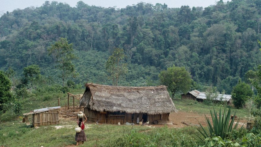Morir en el intento de migrar a EEUU para proteger un terreno familiar de la invasión de una plantación de palma