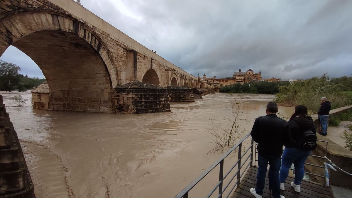 La crecida del río Guadalquivir a su paso por Córdoba